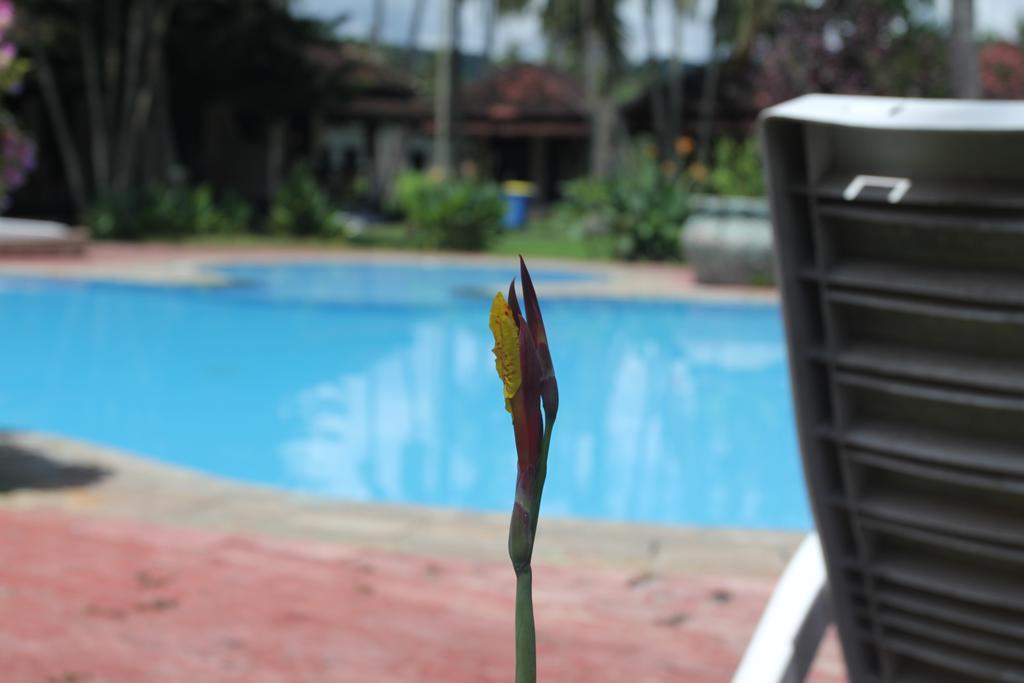 Kuta Indah Hotel Zewnętrze zdjęcie